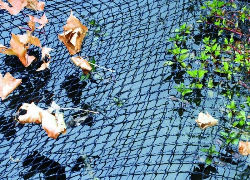 VT Vijvernet 6 X 5 Meter 2 VT Vijvernet 6 X 5 Meter - Afbeelding 2