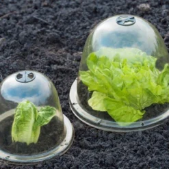 Nature Kweekkap Ø 34 Cm 3 Stuks 4 Nature Kweekkap Ø 34 Cm 3 Stuks -Bijzondere Tuin Verkoop 2a4795d1352a56920d1bc49ea34dfedc