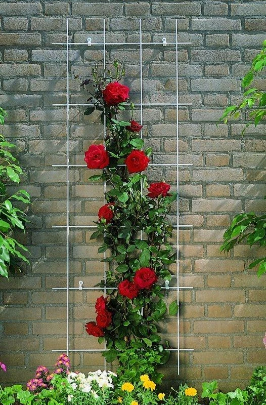 Nature Klimplantrek Metaal Verzinkt 145 X 72.5 Cm 2 Nature Klimplantrek Metaal Verzinkt 145 X 72.5 Cm - Afbeelding 2