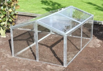 Royal Well Broeikas Jumbo 11 Royal Well Broeikas Jumbo - Afbeelding 11