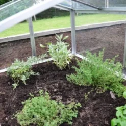 Royal Well Broeikas Jumbo 34 Royal Well Broeikas Jumbo -Bijzondere Tuin Verkoop 5010697007416 17 Aangepast