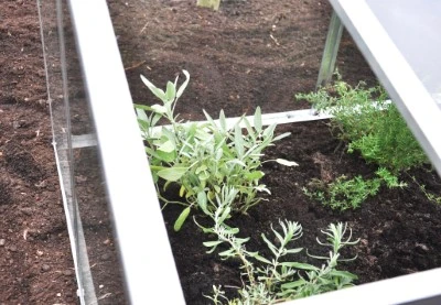 Royal Well Broeikas Jumbo 17 Royal Well Broeikas Jumbo - Afbeelding 17