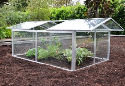 Royal Well Broeikas Jumbo 5 Royal Well Broeikas Jumbo - Afbeelding 5