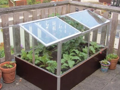 Royal Well Broeikas Jumbo 6 Royal Well Broeikas Jumbo - Afbeelding 6