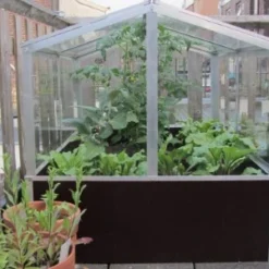 Royal Well Broeikas Jumbo 25 Royal Well Broeikas Jumbo -Bijzondere Tuin Verkoop 5010697007416 7 Aangepast