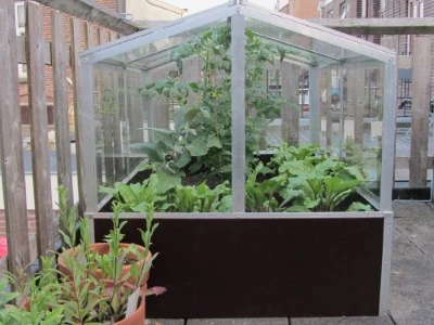 Royal Well Broeikas Jumbo 7 Royal Well Broeikas Jumbo - Afbeelding 7