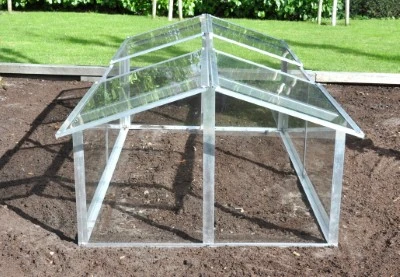 Royal Well Broeikas Jumbo 9 Royal Well Broeikas Jumbo - Afbeelding 9