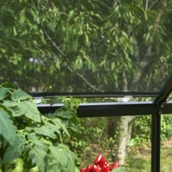 Eden Rolscherm 59 X 190 Cm Set A 2 12 Eden Rolscherm 59 X 190 Cm Set A 2 -Bijzondere Tuin Verkoop 5034223051193 4 Aangepast