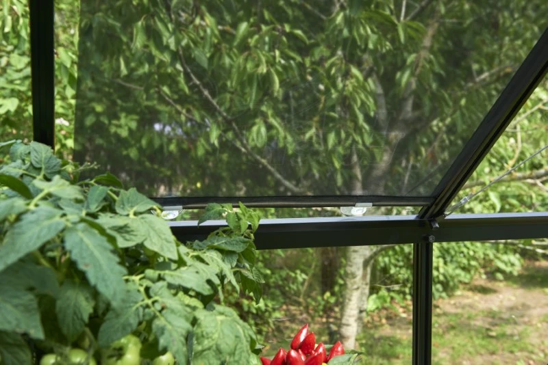 Eden Rolscherm 59 X 190 Cm Set A 2 4 Eden Rolscherm 59 X 190 Cm Set A 2 - Afbeelding 4