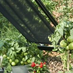 Eden Rolscherm 59 X 190 Cm Set A 2 13 Eden Rolscherm 59 X 190 Cm Set A 2 -Bijzondere Tuin Verkoop 5034223051193 5 Aangepast