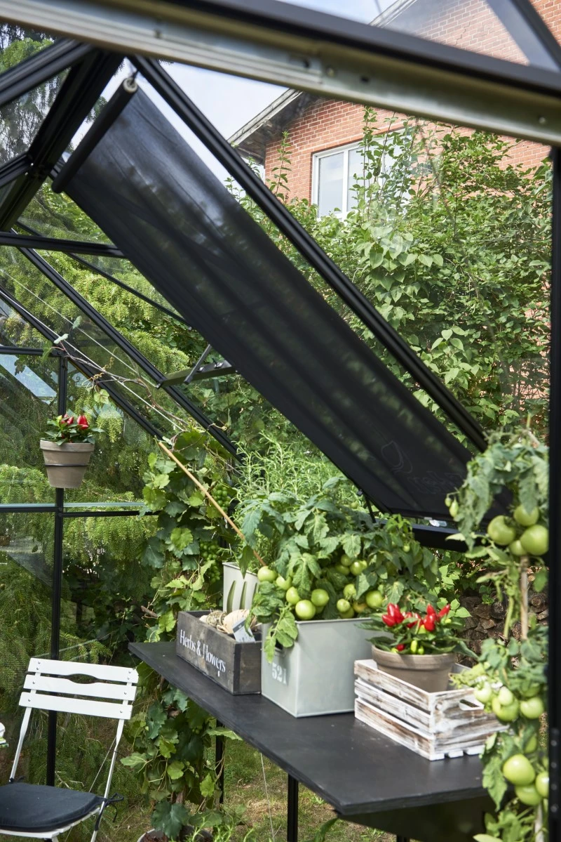 Eden Rolscherm 59 X 190 Cm Set A 2 6 Eden Rolscherm 59 X 190 Cm Set A 2 - Afbeelding 6