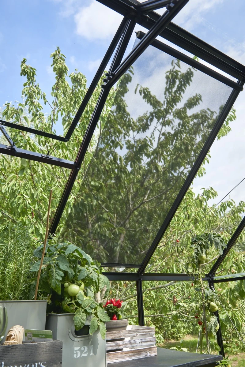 Eden Rolscherm 59 X 190 Cm Set A 2 8 Eden Rolscherm 59 X 190 Cm Set A 2 - Afbeelding 8