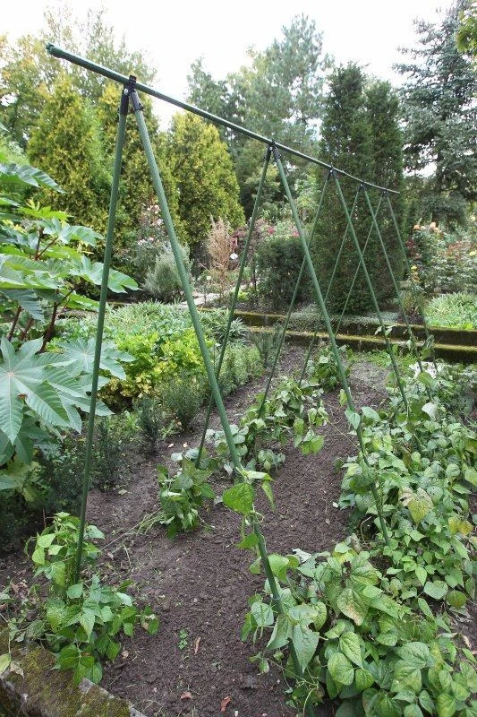 Nature Plantenstokken Verzinkt 2 Nature Plantenstokken Verzinkt - Afbeelding 2