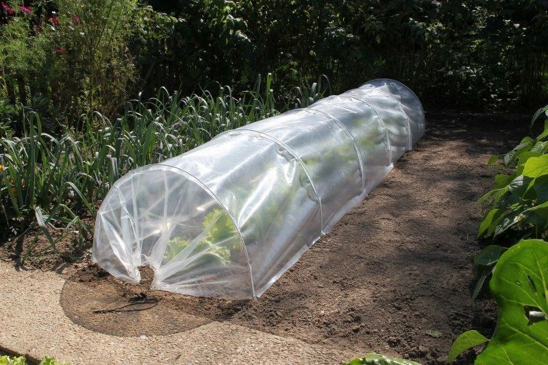 Nature Folietunnelset 2-in-1 2 Nature Folietunnelset 2-in-1 - Afbeelding 2