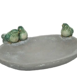 Vogelbad Schaal Met Vogels
