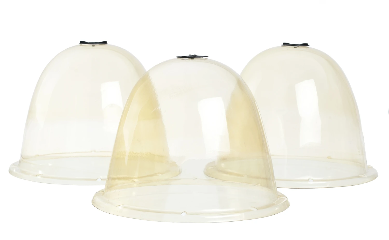 Nature Kweekkap Ø 34 Cm 3 Stuks 3 Nature Kweekkap Ø 34 Cm 3 Stuks - Afbeelding 3