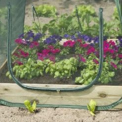 Nature Tuinkas Pop-up Anti-Insectennet H100 X 100 X 100 Cm -Bijzondere Tuin Verkoop 8711338204092 2