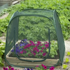 Nature Tuinkas Pop-up Anti-Insectennet H100 X 100 X 100 Cm -Bijzondere Tuin Verkoop 8711338204092 3