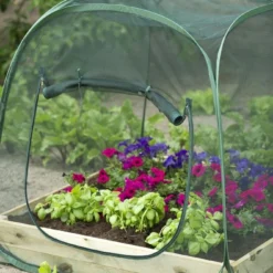 Nature Tuinkas Pop-up Anti-Insectennet H100 X 100 X 100 Cm -Bijzondere Tuin Verkoop 8711338204092 4