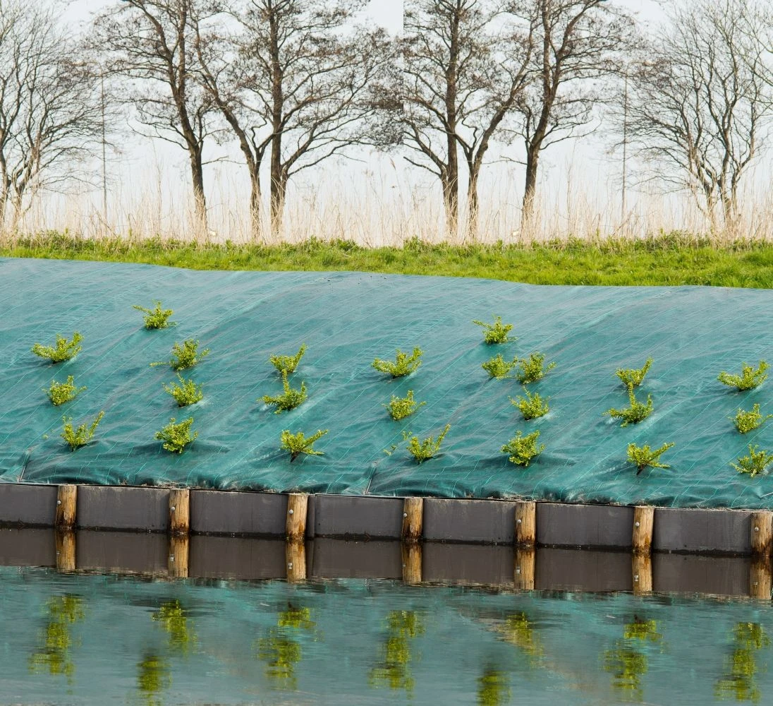 Nature Gronddoek Groen 1x10m 2 Nature Gronddoek Groen 1x10m - Afbeelding 2