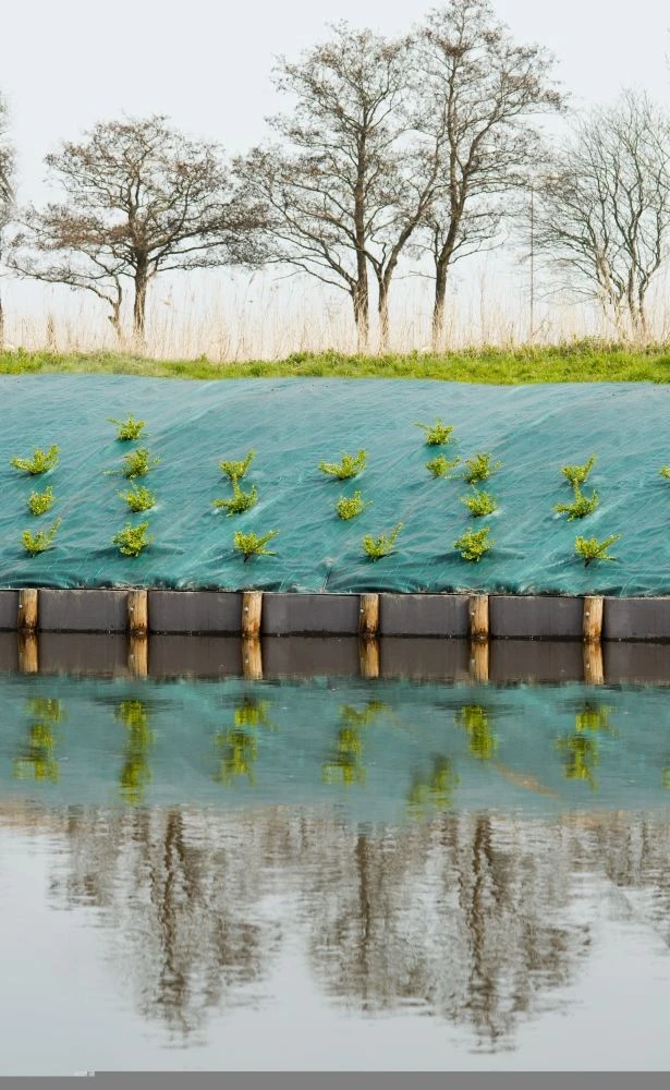 Nature Gronddoek Groen 2x5m 2 Nature Gronddoek Groen 2x5m - Afbeelding 2