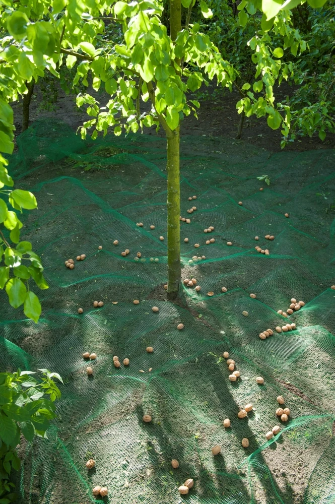 Nature Raapnet 4,3x4,3 Meter 3 Nature Raapnet 4,3x4,3 Meter - Afbeelding 3