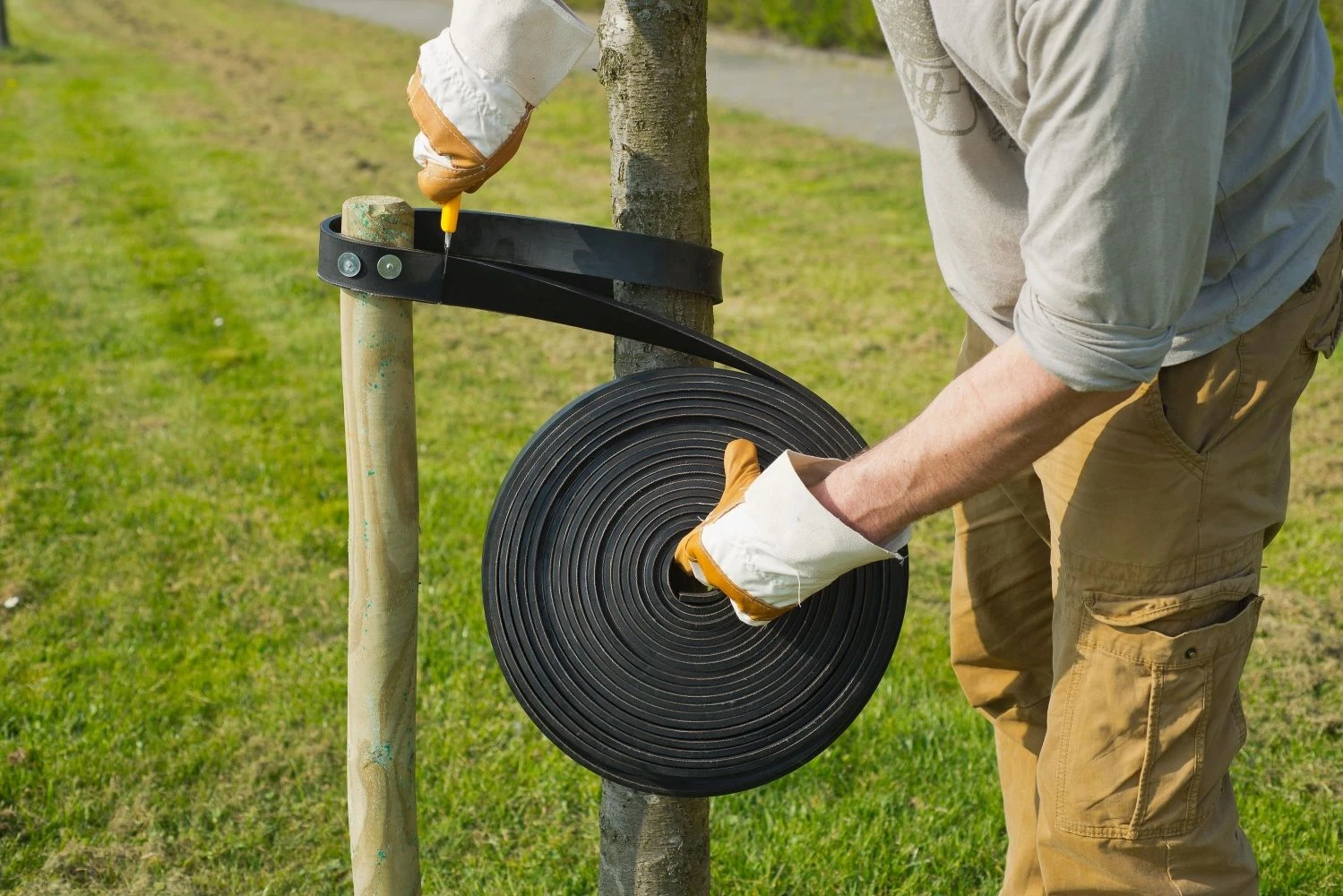 Nature Spijkerboomband Op Rol 15mx3.8cm 3 Nature Spijkerboomband Op Rol 15mx3.8cm - Afbeelding 3