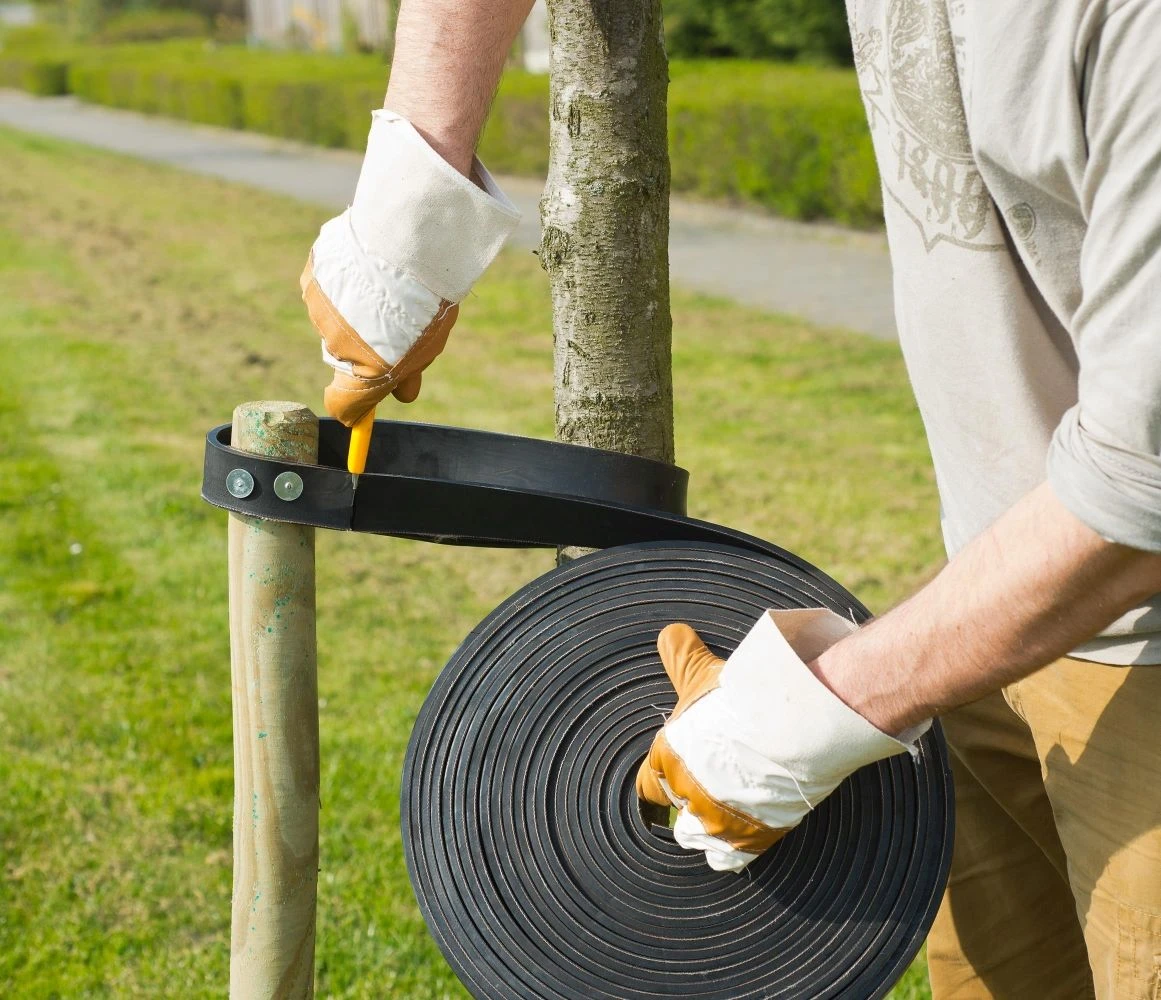 Nature Spijkerboomband Op Rol 15mx3.8cm 2 Nature Spijkerboomband Op Rol 15mx3.8cm - Afbeelding 2