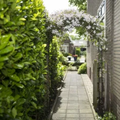 Nature Rozenboog H229x113x38cm 6 Nature Rozenboog H229x113x38cm -Bijzondere Tuin Verkoop 8711338408025 2