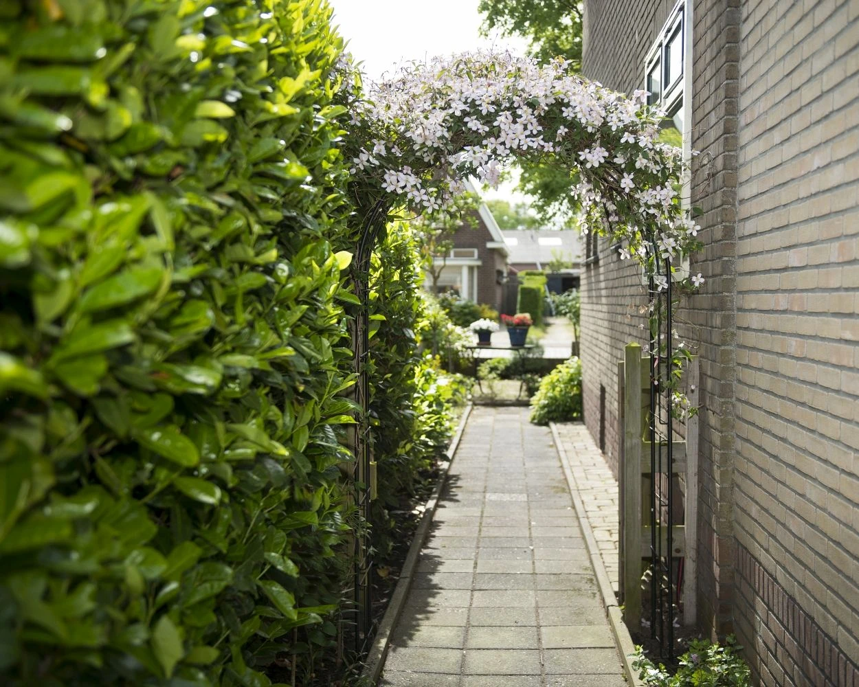 Nature Rozenboog H229x113x38cm 3 Nature Rozenboog H229x113x38cm - Afbeelding 3