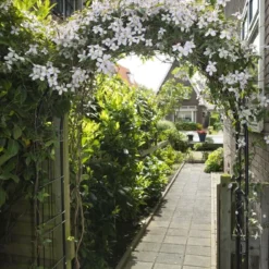 Nature Rozenboog H229x113x38cm 7 Nature Rozenboog H229x113x38cm -Bijzondere Tuin Verkoop 8711338408025 3