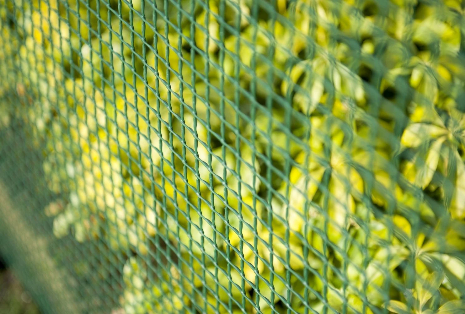 Nature Vierkant Schermgaas Groen 20x20mm - 1x3m 2 Nature Vierkant Schermgaas Groen 20x20mm - 1x3m - Afbeelding 2