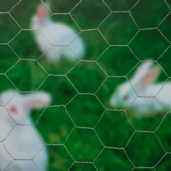 Nature Gaas Zeskantig 25x25mm Verzinkt 50cmx10m 4 Nature Gaas Zeskantig 25x25mm Verzinkt 50cmx10m -Bijzondere Tuin Verkoop 8711338502181 1