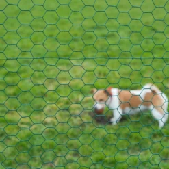 Nature Gaas Zeskantig 25x25mm Geplastificeerd 1x2.50m 4 Nature Gaas Zeskantig 25x25mm Geplastificeerd 1x2.50m -Bijzondere Tuin Verkoop 8711338502372 1