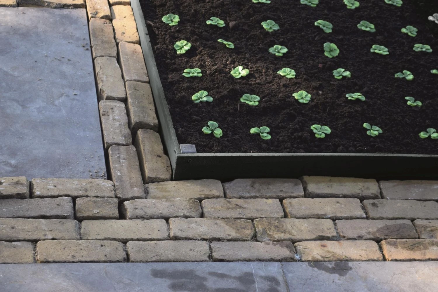 Nature Borderrand Zwart 7mm H14cmx10m 4 Nature Borderrand Zwart 7mm H14cmx10m - Afbeelding 4