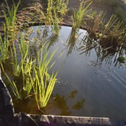 Nature Borderrand Zwart 7mm H19cm X 15m -Bijzondere Tuin Verkoop 8711465301015 3