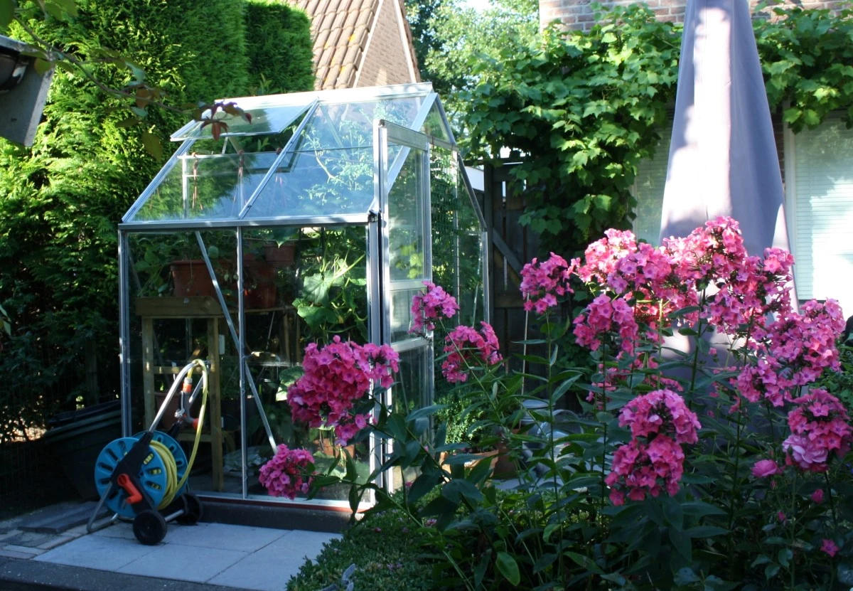 Royal Well Tuinkas En Fundering Popular 46 Blank Tuindersglas 3mm 4 Royal Well Tuinkas En Fundering Popular 46 Blank Tuindersglas 3mm - Afbeelding 4