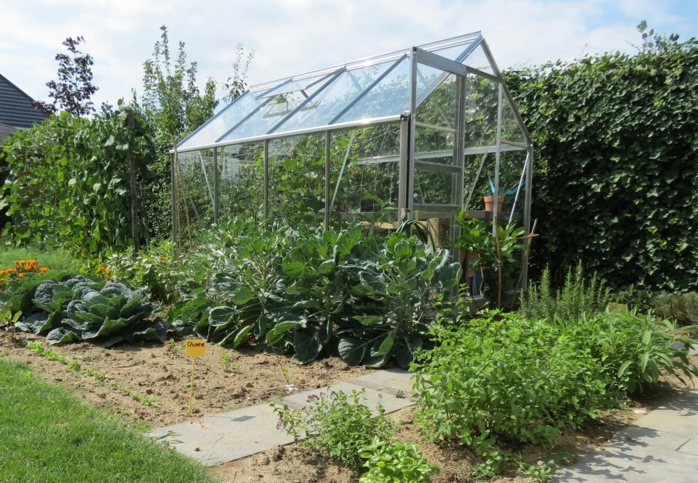 Royal Well Tuinkas Popular 86 Blank Tuindersglas 3mm 5 Royal Well Tuinkas Popular 86 Blank Tuindersglas 3mm - Afbeelding 5