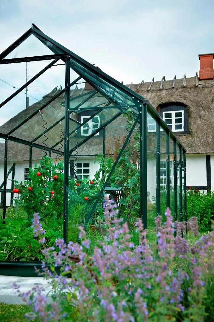 Royal Well Tuinkas En Fundering Popular 106 Groen Tuindersglas 3 5 Royal Well Tuinkas En Fundering Popular 106 Groen Tuindersglas 3 - Afbeelding 5