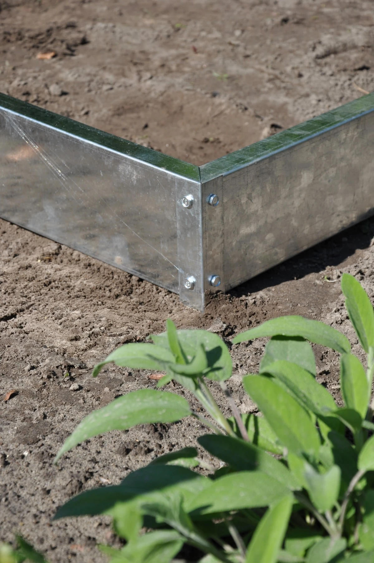 Royal Well Tuinkas En Fundering Popular 46 Blank Tuindersglas 3mm 6 Royal Well Tuinkas En Fundering Popular 46 Blank Tuindersglas 3mm - Afbeelding 6