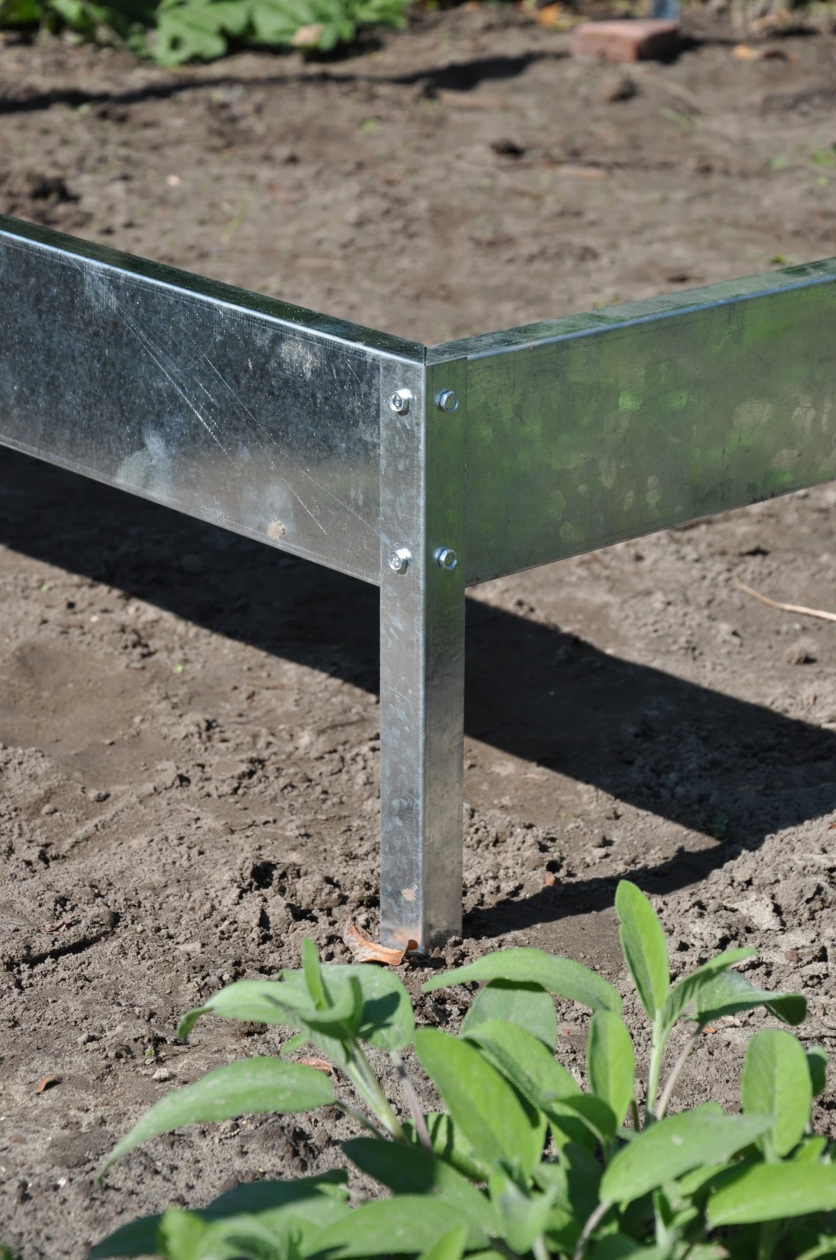 Royal Well Tuinkas En Fundering Popular 46 Blank Tuindersglas 3mm 9 Royal Well Tuinkas En Fundering Popular 46 Blank Tuindersglas 3mm - Afbeelding 9