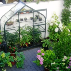 Royal Well Muurkas Supreme Incl. Fundering Groen -Bijzondere Tuin Verkoop 8718215760993 4 Aangepast