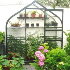 Royal Well Muurkas Supreme Incl. Fundering Groen -Bijzondere Tuin Verkoop 8718215760993 5 Aangepast