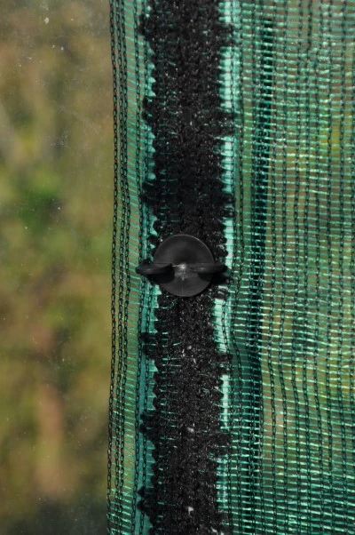 Royal Well Schermgaas 300 Cm Breed Groen 3 Royal Well Schermgaas 300 Cm Breed Groen - Afbeelding 3