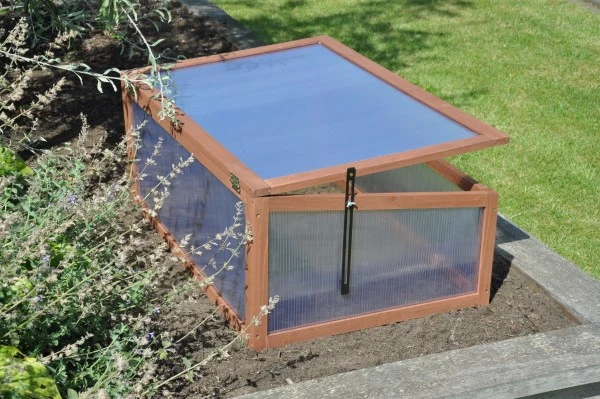 Royal Well Broeikas Sweet Tomato 10 Royal Well Broeikas Sweet Tomato - Afbeelding 10