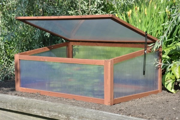 Royal Well Broeikas Sweet Tomato 11 Royal Well Broeikas Sweet Tomato - Afbeelding 11