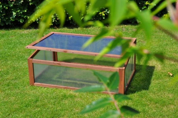 Royal Well Broeikas Sweet Tomato 4 Royal Well Broeikas Sweet Tomato - Afbeelding 4