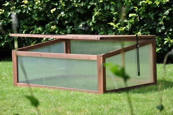 Royal Well Broeikas Sweet Tomato 5 Royal Well Broeikas Sweet Tomato - Afbeelding 5