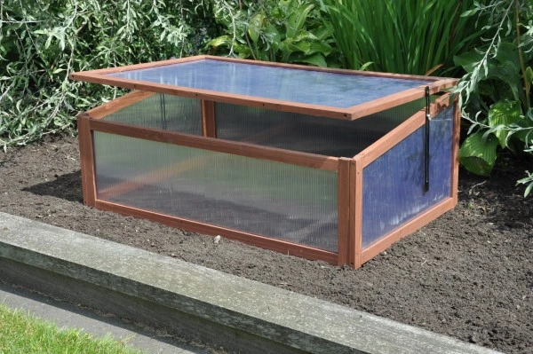 Royal Well Broeikas Sweet Tomato 6 Royal Well Broeikas Sweet Tomato - Afbeelding 6