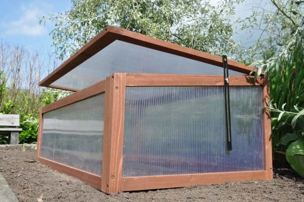 Royal Well Broeikas Sweet Tomato 8 Royal Well Broeikas Sweet Tomato - Afbeelding 8